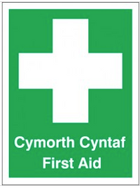 English and Welsh 'First Aid' and 'Cymorth Cyntaf' Sign SSW0184